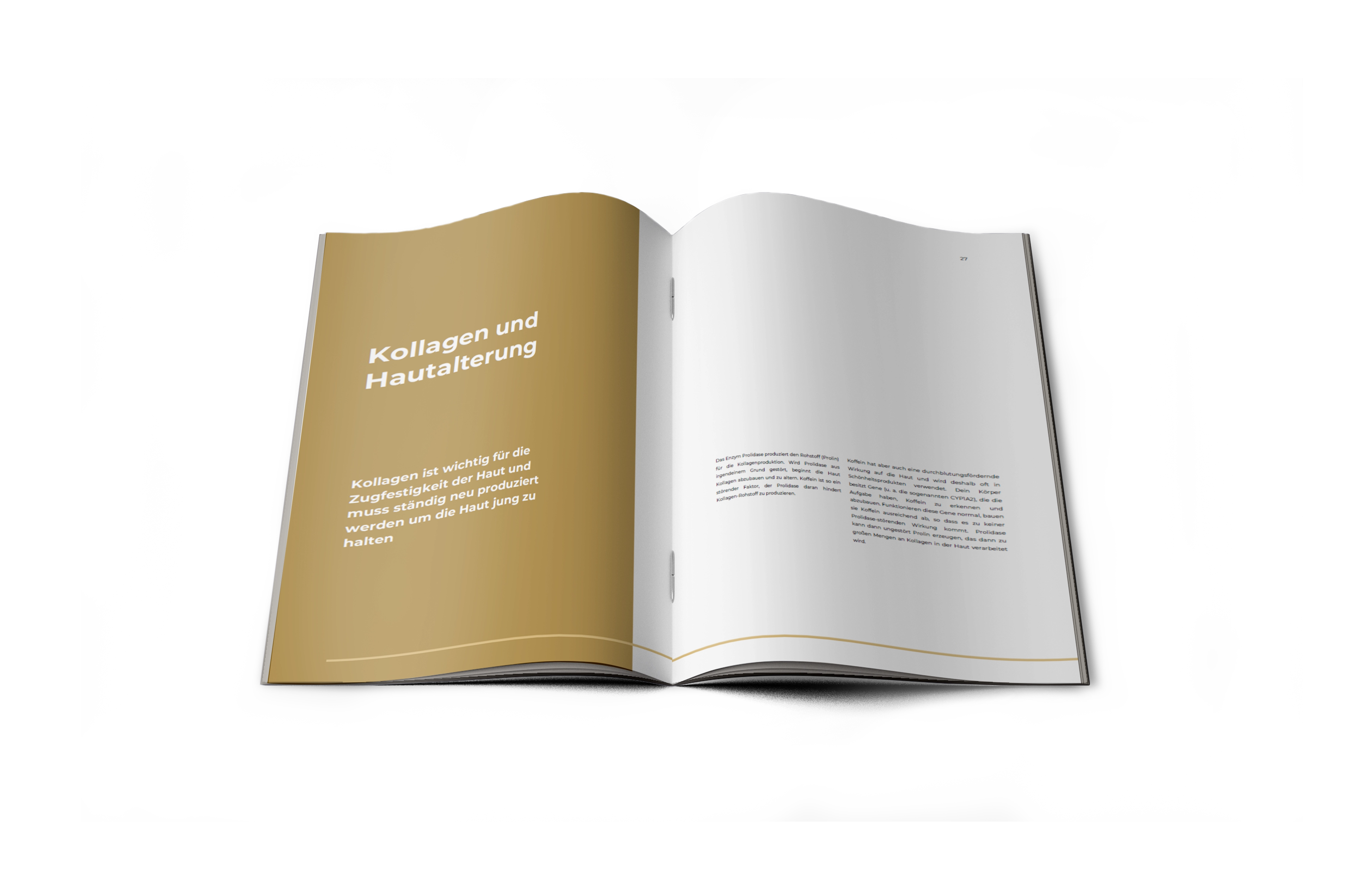 beauty_innerpages_intro_1100x734px (2)