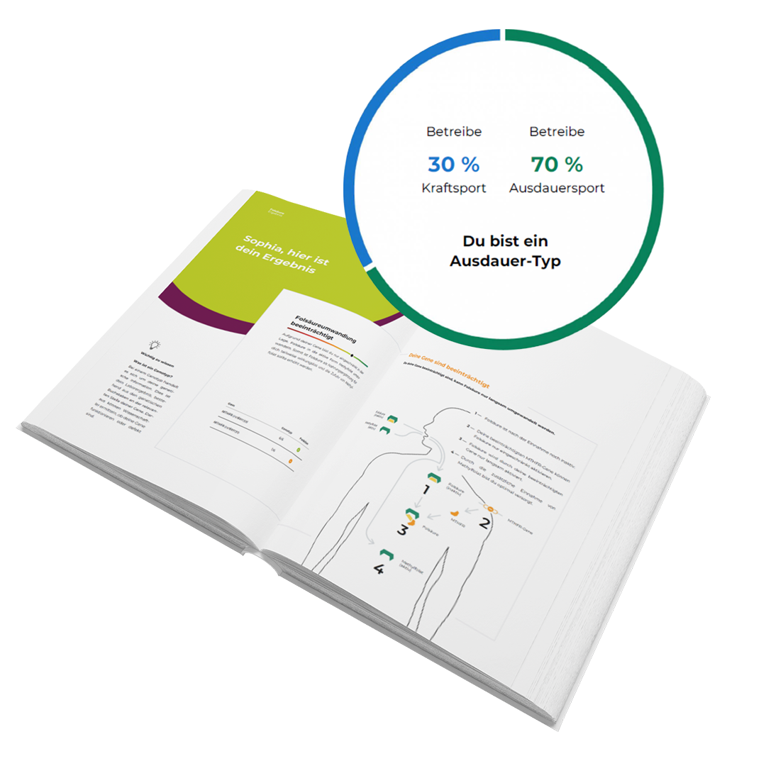 PerformancePlus